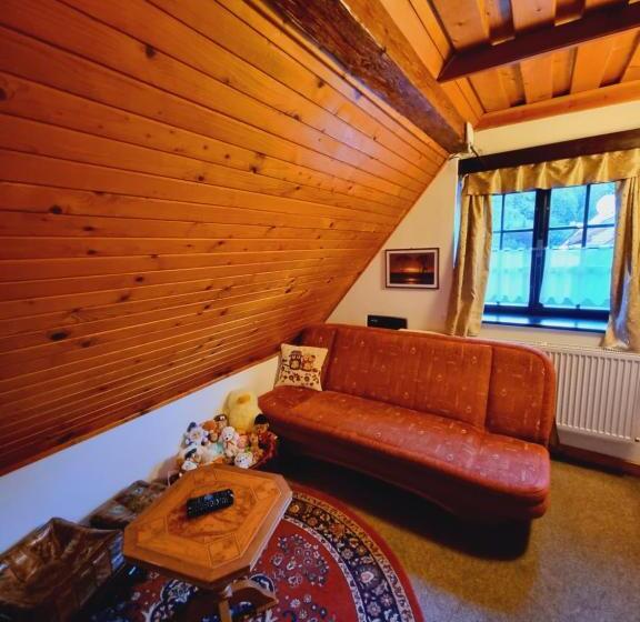 بنسيون Penzion U Sovy