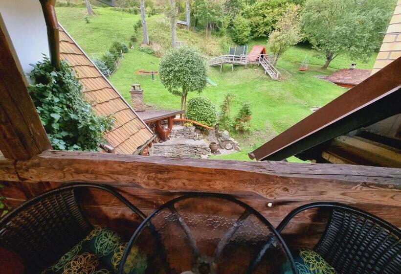 بنسيون Penzion U Sovy