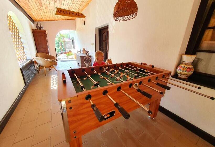 بنسيون Penzion U Sovy