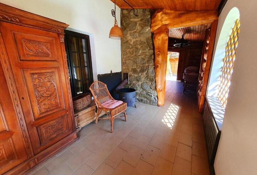 بنسيون Penzion U Sovy