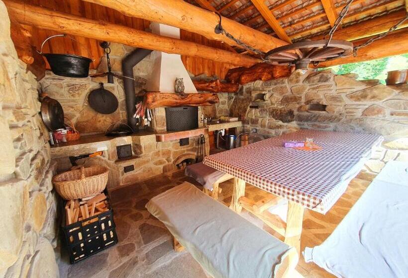 بنسيون Penzion U Sovy