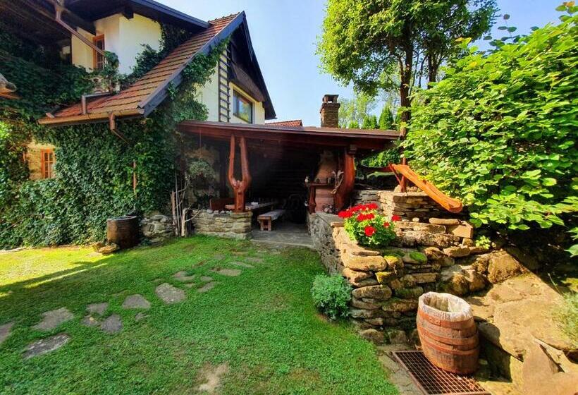 بنسيون Penzion U Sovy