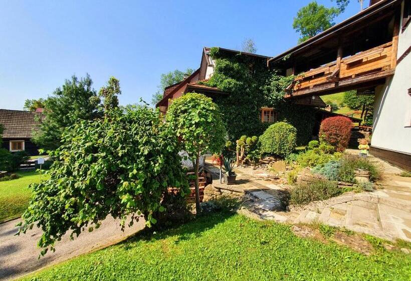 بنسيون Penzion U Sovy