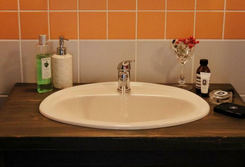 膳宿费 U Devíti Vidlí