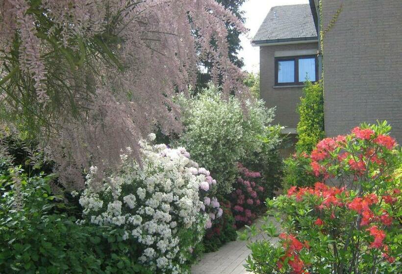 Prince D Orange Bed & Breakfast