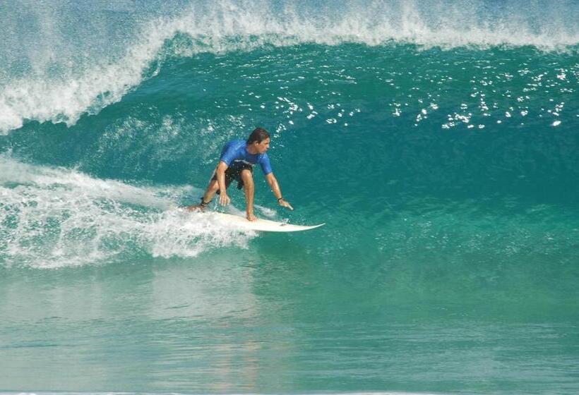 فندق صغير Native Surfhouse