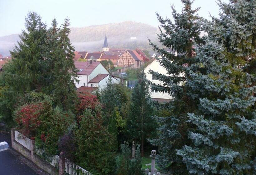 Apartments Weisser Reiter