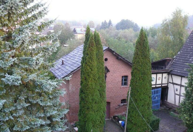 Apartments Weisser Reiter