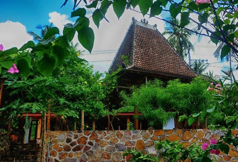 Ayu Hotel Karimunjawa