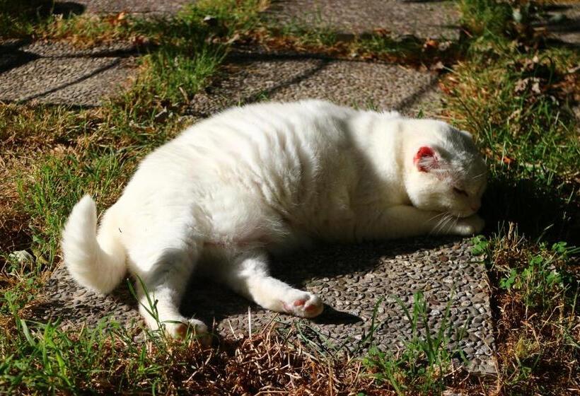 Bed And Breakfast Casa Formica