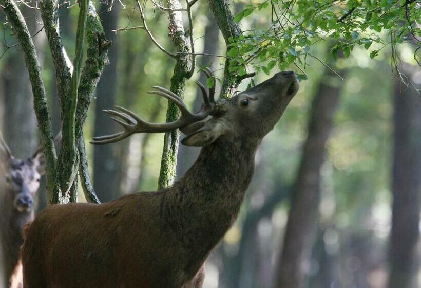 민박 Château De Peufeilhoux