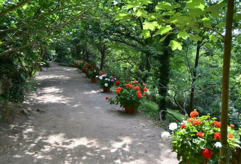 مبيت وإفطار Château De Peufeilhoux