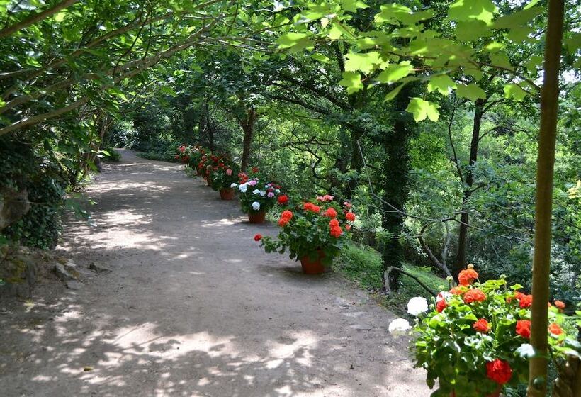 مبيت وإفطار Château De Peufeilhoux