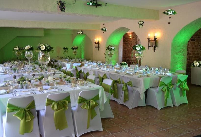 مبيت وإفطار Château De Peufeilhoux