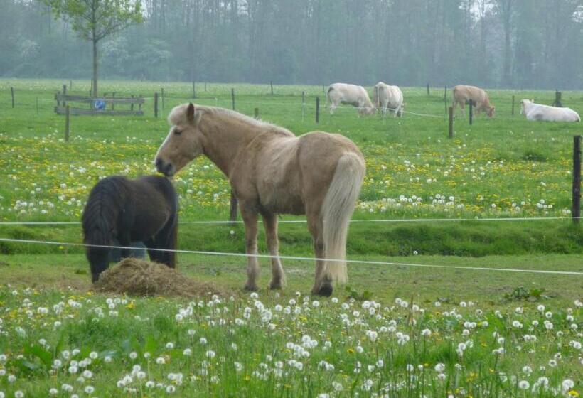 ベッドアンドブレックファースト De Langenlee