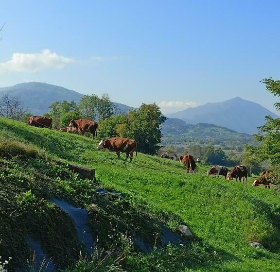 B&b Panorama Dolomiti