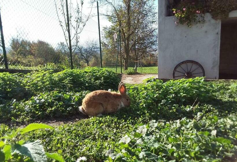 B&b Panorama Dolomiti