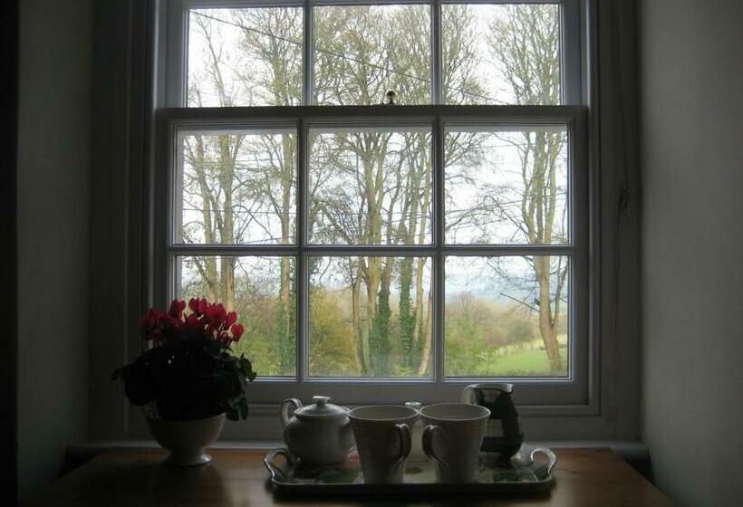 Bed and Breakfast Prospect Cottage