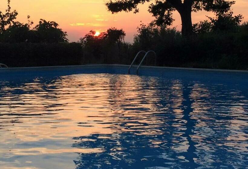 مبيت وإفطار Villa Dell  Artista   Villa Anna