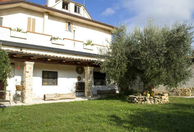 Casa Dell Arciprete B&b