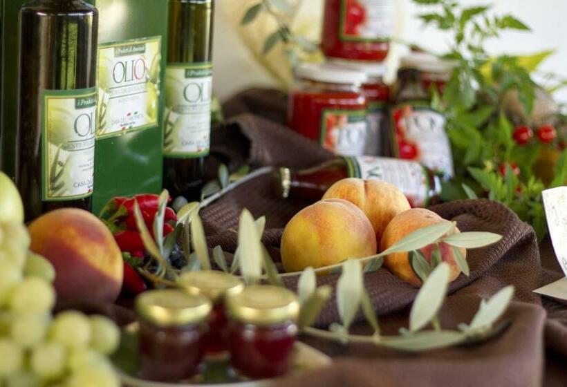 Casa Dell Arciprete B&b