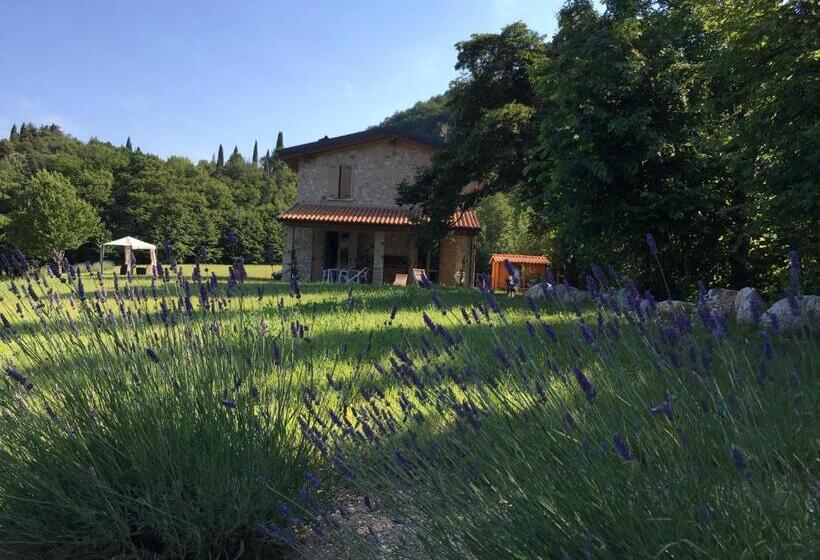 호텔 Agriturismo Casa Del Castagneto