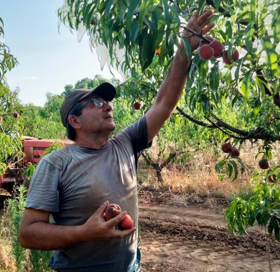 فندق Agriturismo I Doni Del Mandorlo