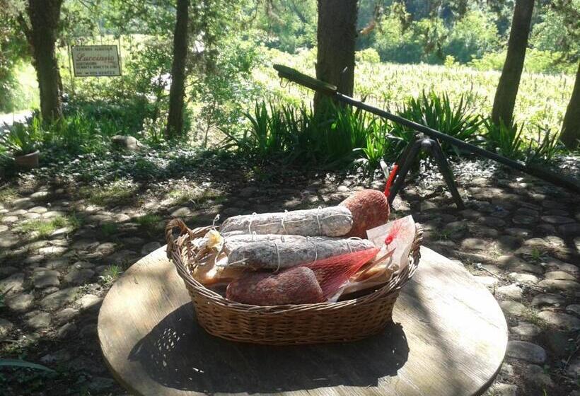 בית מלון כפרי Agriturismo Lucciano