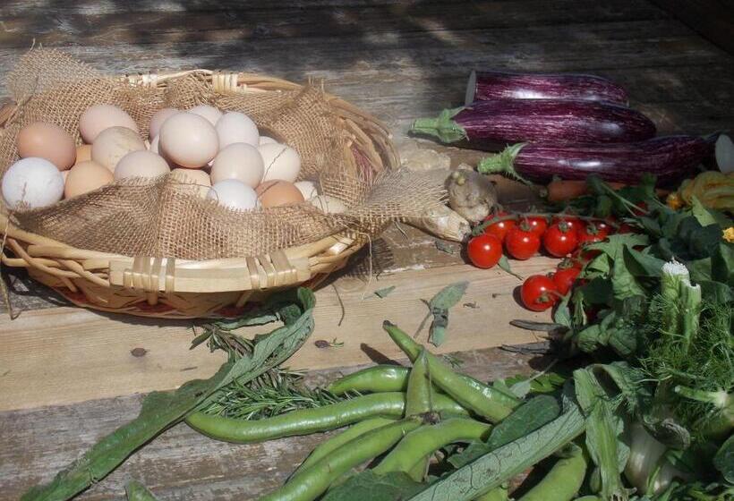 בית מלון כפרי Agriturismo Lucciano