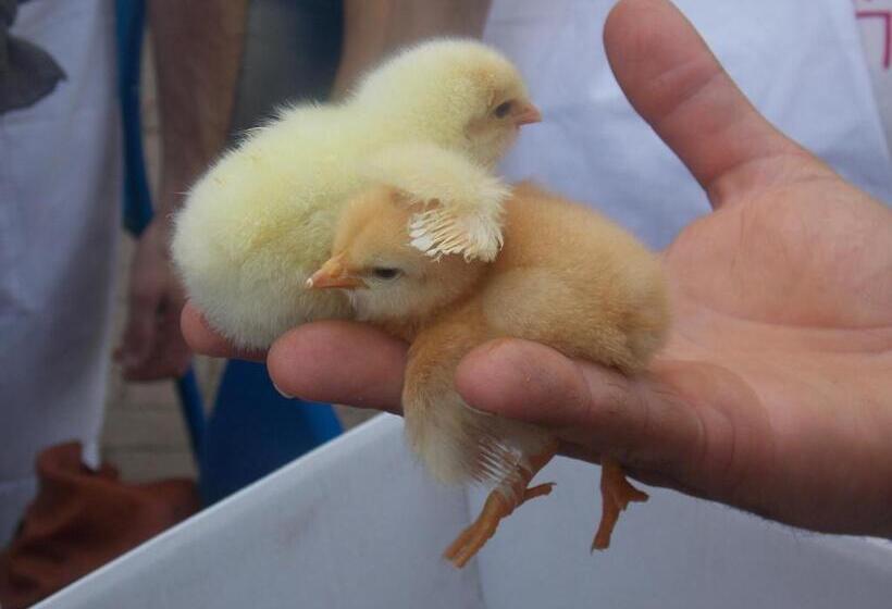 בית מלון כפרי Agriturismo Lucciano