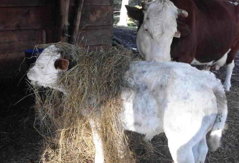 فندق Agriturismo Villa Brugolta