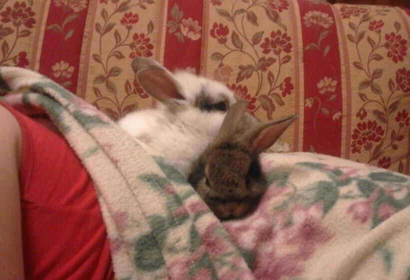 호텔 Agriturismo Villa Brugolta