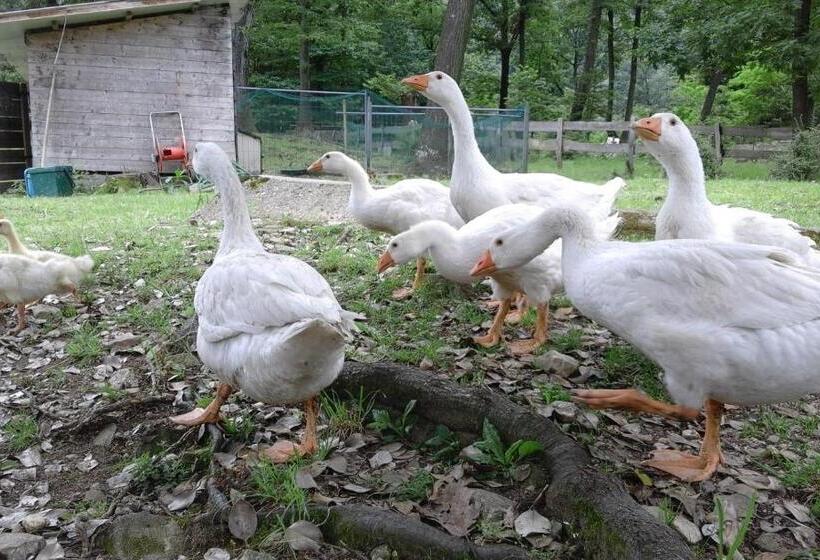 فندق Agriturismo Villa Brugolta