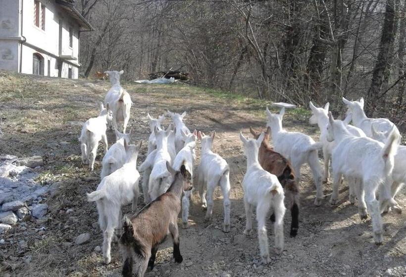 فندق Agriturismo Villa Brugolta