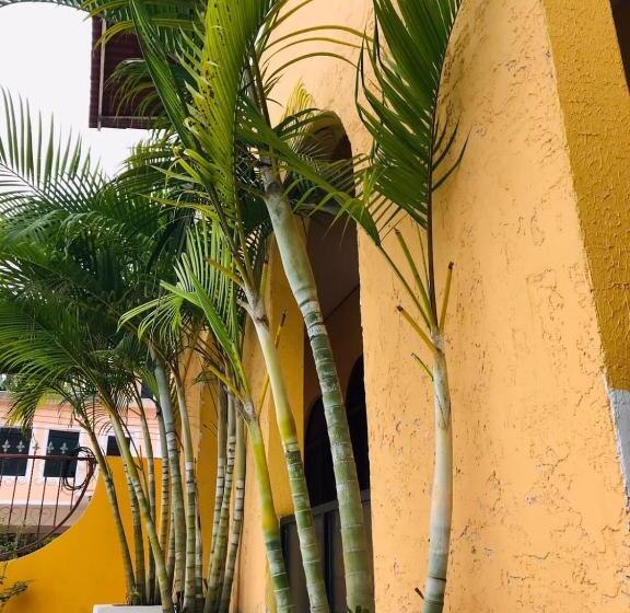 Отель Campo Real Plus Tamasopo