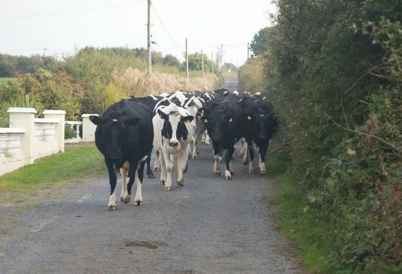 בית מלון כפרי Greenfields Farmhouse