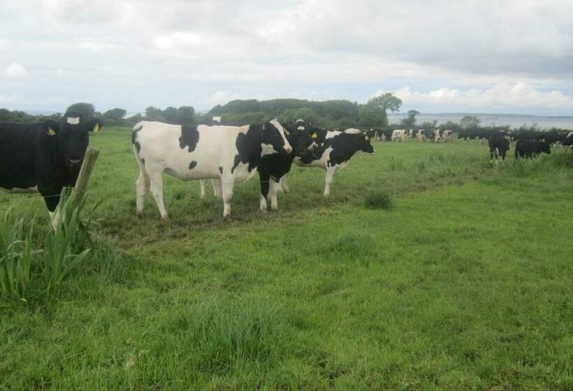 בית מלון כפרי Greenfields Farmhouse
