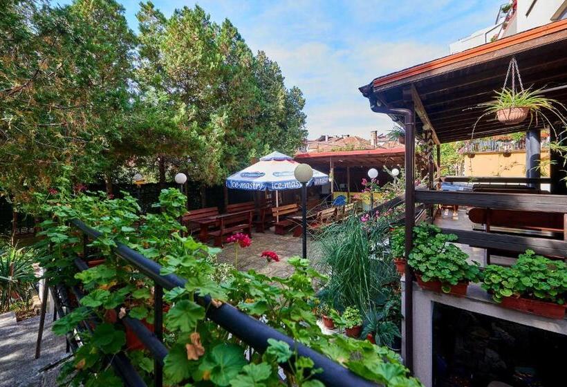 בית מלון כפרי Koral