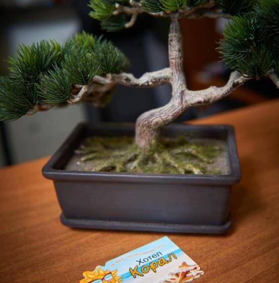 בית מלון כפרי Koral