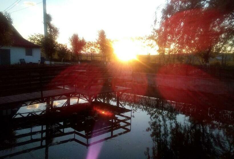 فندق Pensiunea ,,la Struti