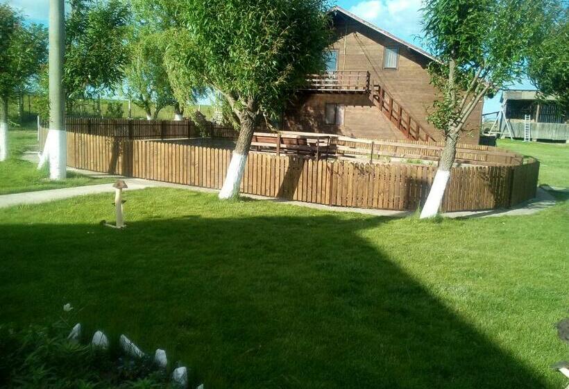 فندق Pensiunea ,,la Struti