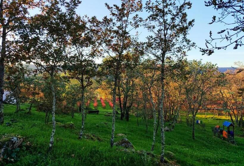 בית מלון כפרי Quinta Dos Carvalhais   Serra Da Estrela