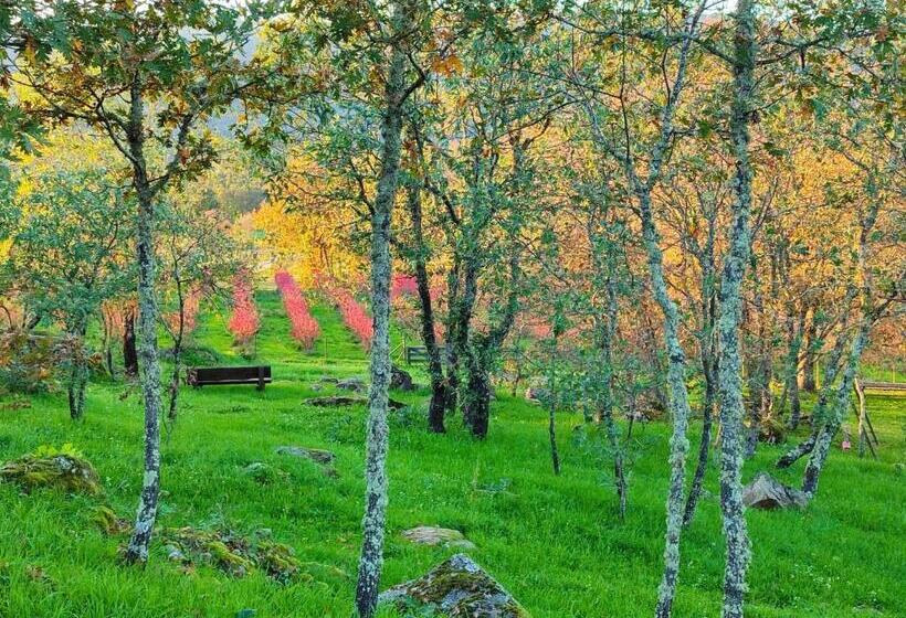 فندق Quinta Dos Carvalhais   Serra Da Estrela