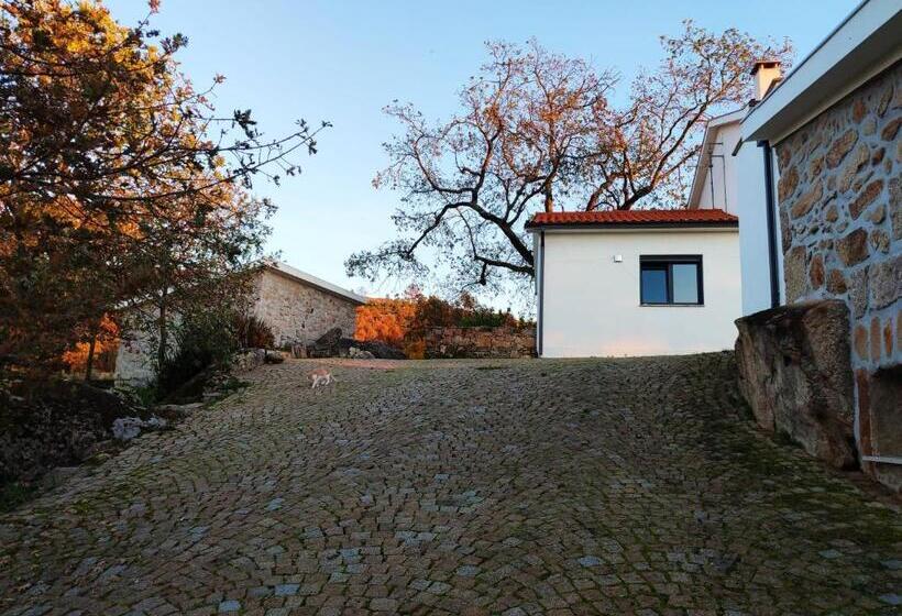 ホテル Quinta Dos Carvalhais   Serra Da Estrela