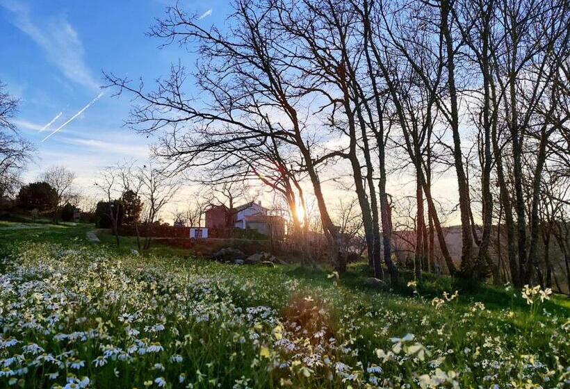 ホテル Quinta Dos Carvalhais   Serra Da Estrela