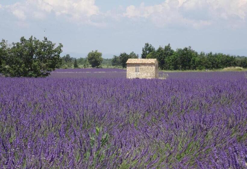L Olivadou B&b