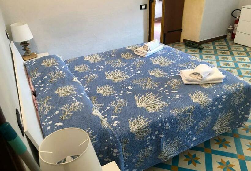 بنسيون Affittacamere L Acciuga