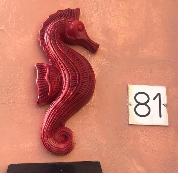 بنسيون Affittacamere L Acciuga