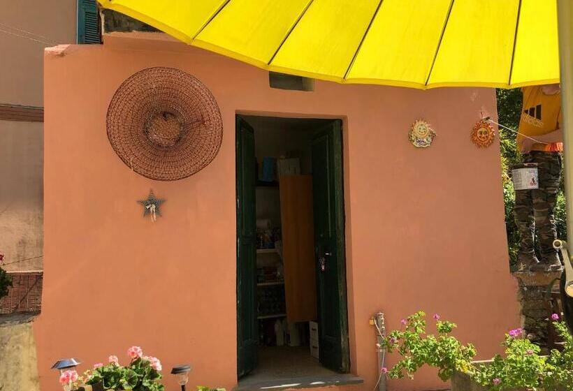 بنسيون Affittacamere L Acciuga