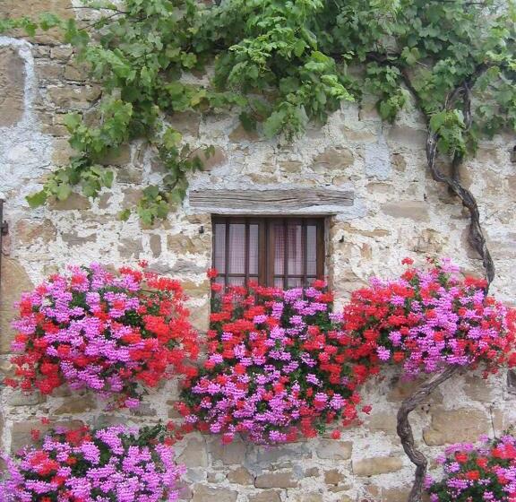 ペンション Affittacamere Nonna Leni